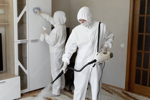 24/7 Emergency Odor Removal experts in Lexington, SC